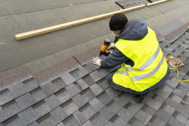 Best Roof Gutter Cleaning  in Freeburg, IL