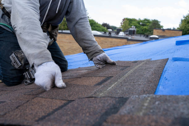 Best Roof Maintenance Services  in Freeburg, IL