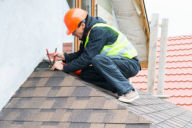 Roof Gutter Cleaning in Freeburg, IL