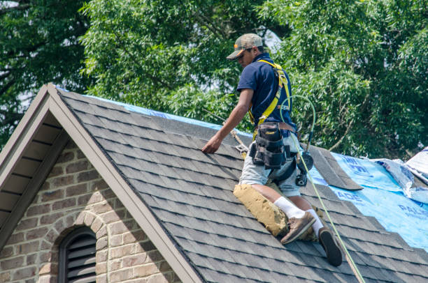 Roof Repair Estimates in Freeburg, IL